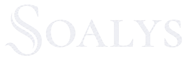 Logo Soalys
